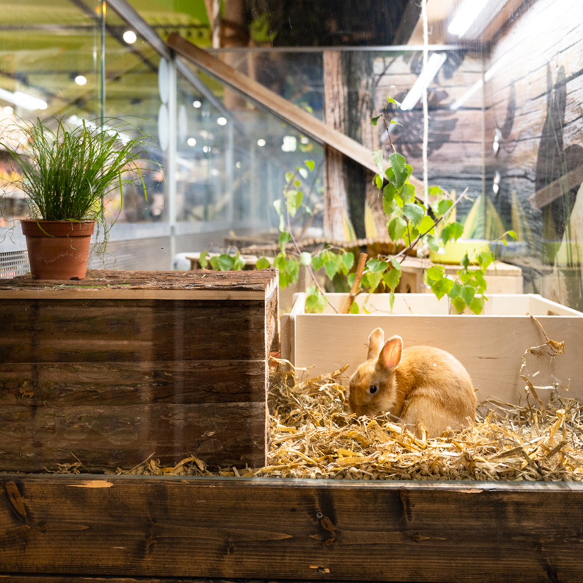 Nuernberg 1200x1200 06